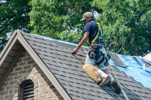 Quick and Trustworthy Emergency Roof Repair Services in Stewartville, MN