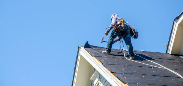 Best Storm Damage Roof Repair  in Stewartville, MN